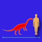 http://www.universonline.it/_preistoria/terrestri/img/anchisaurus.gif