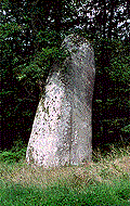 Foto di menhir 03